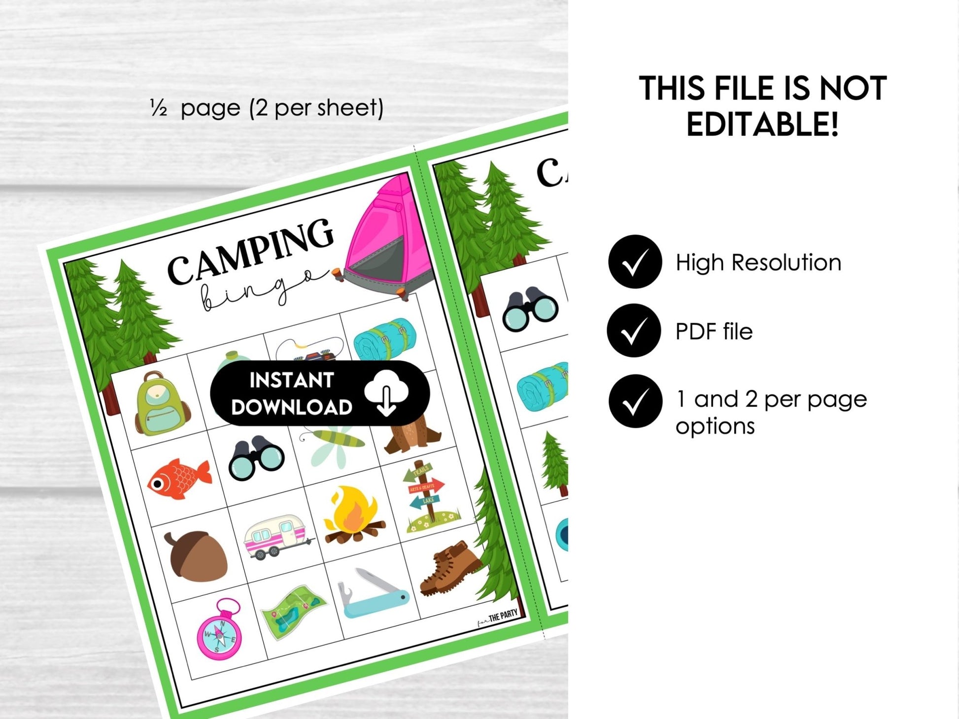 Camping Vocabulary Bingo Cards - 30 Summer Game Cards C1