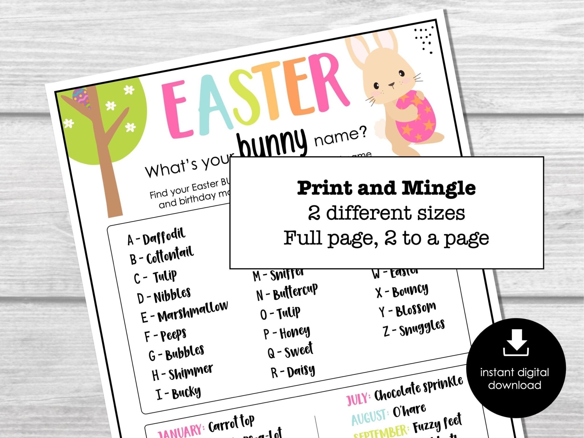 Easter What's Your Bunny Name Game, Bunny Name Tags Sign, Easter Party Ice Breaker, School Party Game