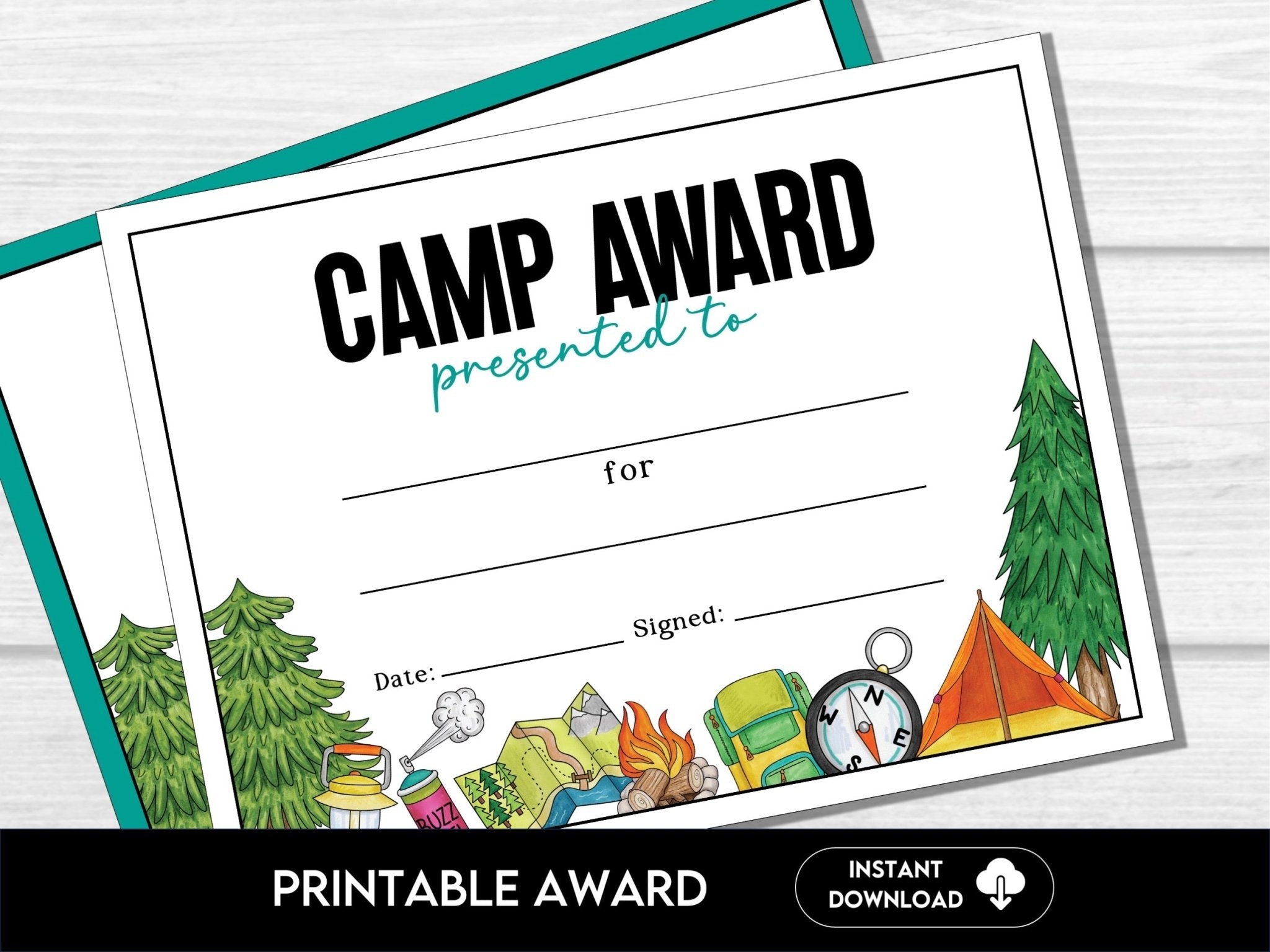 Summer Camp Participation Award Certificates - Before The Party