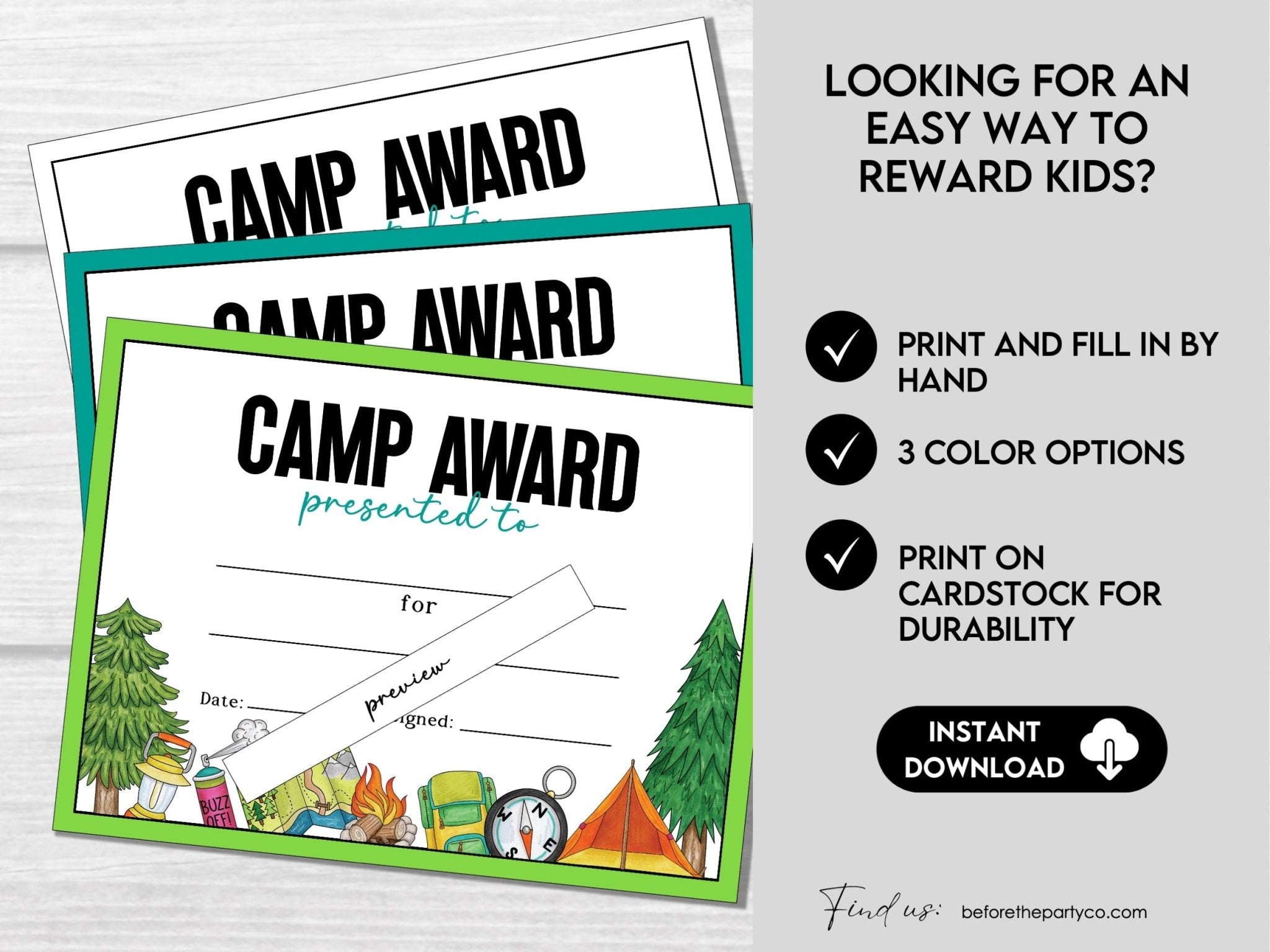 Summer Camp Participation Award Certificates - Before The Party