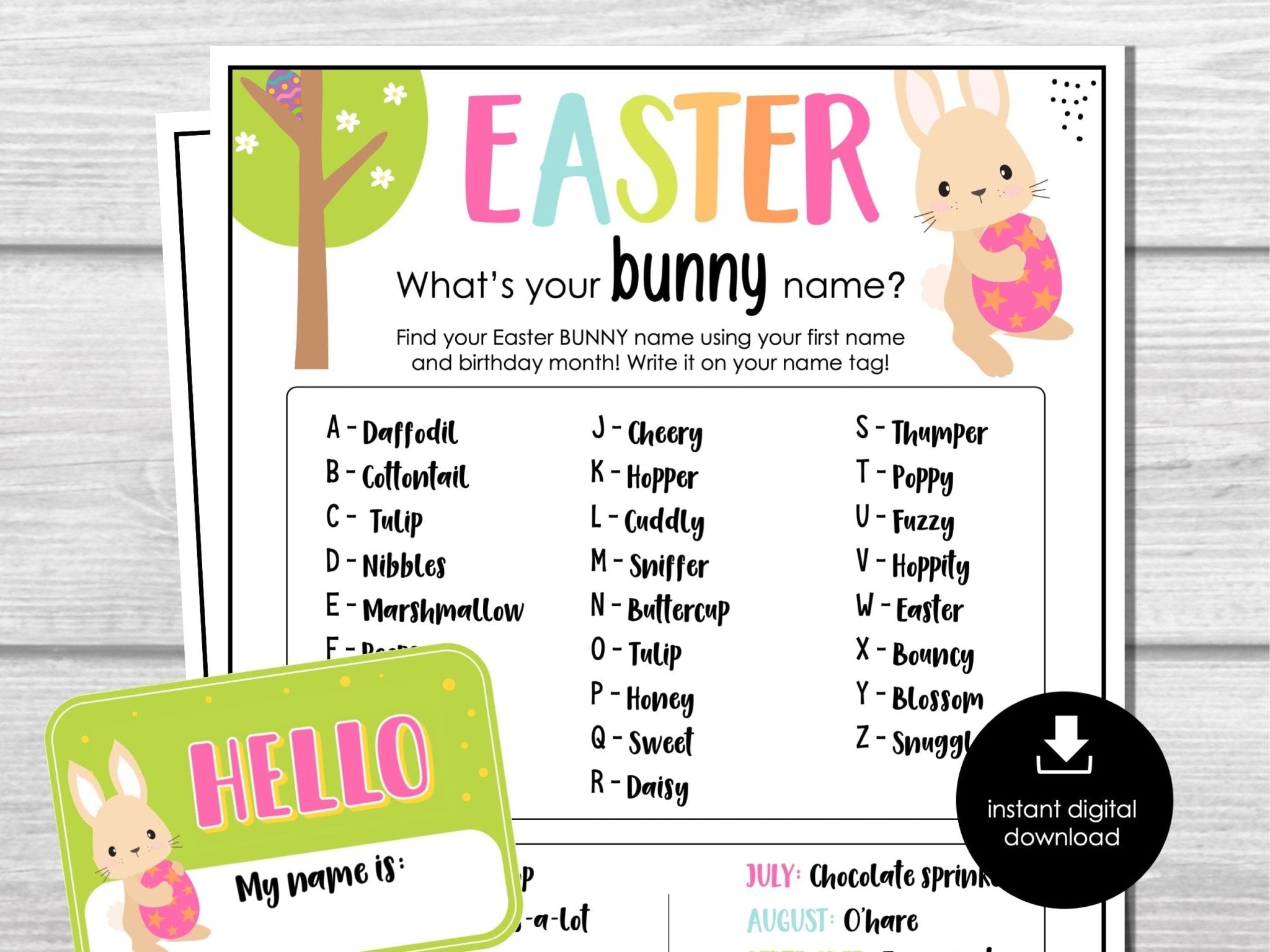 Easter What's Your Bunny Name Game, Bunny Name Tags Sign, Easter Party Ice Breaker, Easter Activity for Kids and Adults, School Party Game - Before The Party