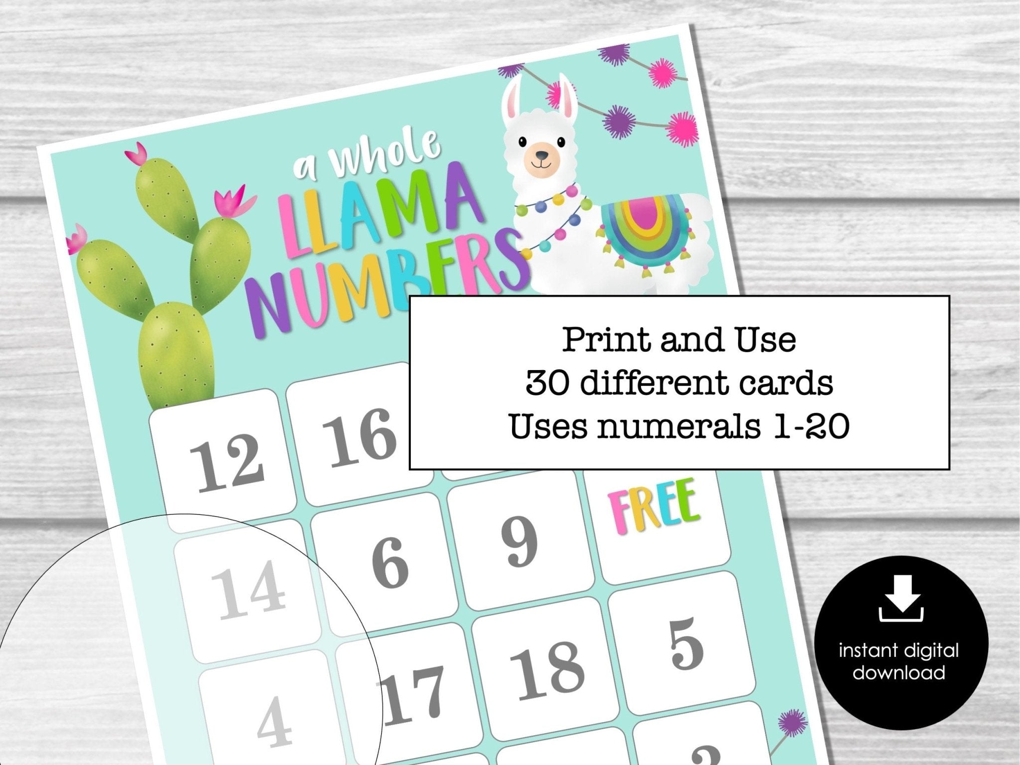 Llama Party Bingo Game, Cute Bingo Cards, Bingo Printable for Kids, Number Practice Bingo Game,