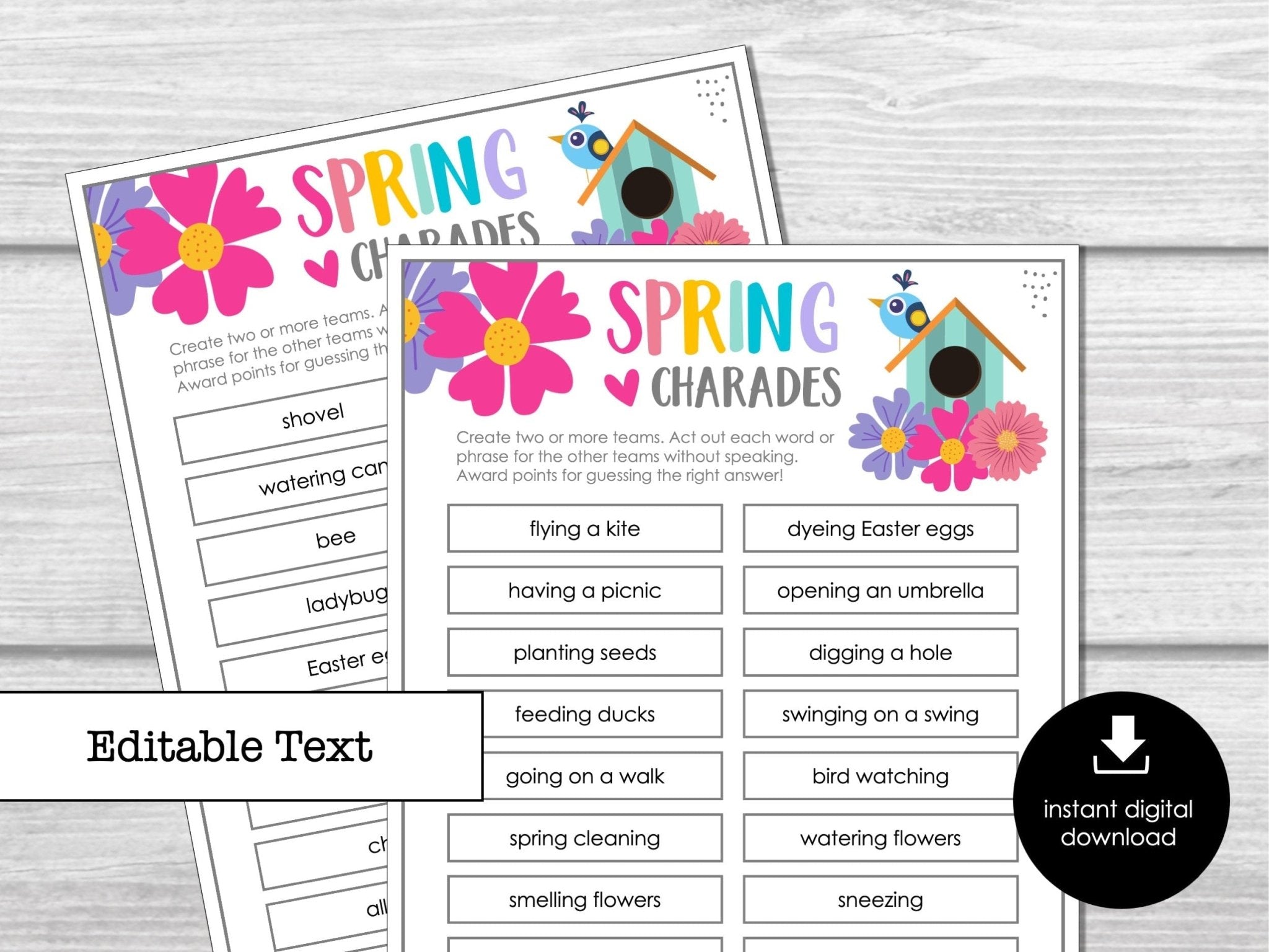 Spring Charades Party Game for Kids, Classroom Charades for Springtime, Spring Miming Game, Spring Activity for Kids - Editable Download